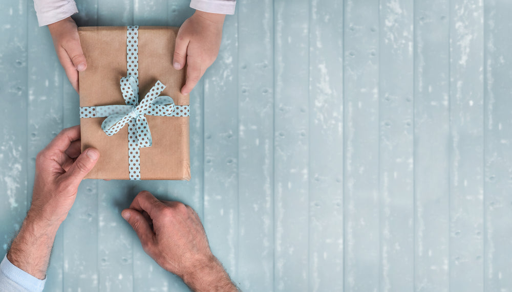 Swan Father’s Day gift guide